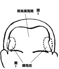 額闊|玄途好景－再談額相論﹝二﹞